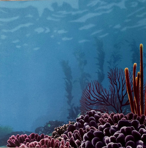 Sandylion  12 x 12 single sided patterned paper - finding nemo right