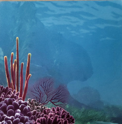 Sandylion  12 x 12 single sided patterned paper - finding nemo left