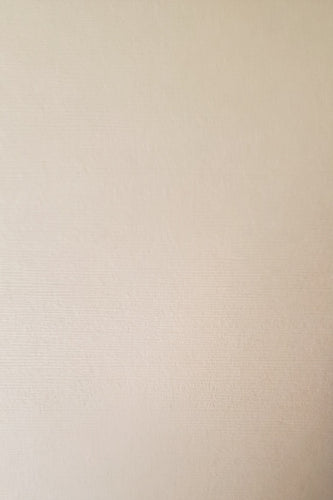 Bazzill solid color cardstock - 12 x 12 - cocoa brown