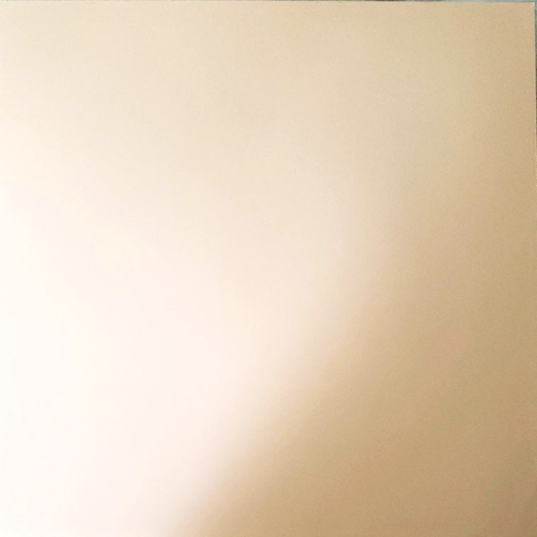 The paper company solid color cardstock - 12 x 12 - neutral tan