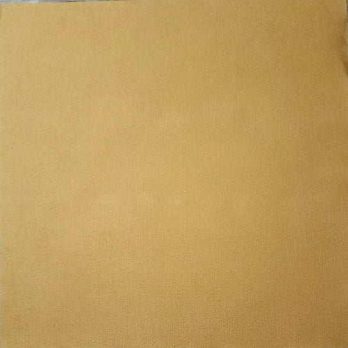 Canson specialty cardstock - 12 x 12 - fiber - cornsilk