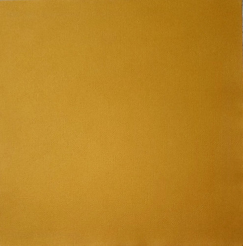 Canson specialty cardstock - 12 x 12 - fiber - goldenrod