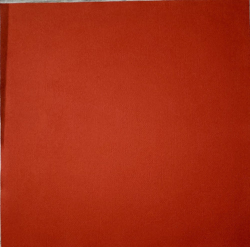 Canson specialty cardstock - 12 x 12 - fiber - bitter sweet - discolored