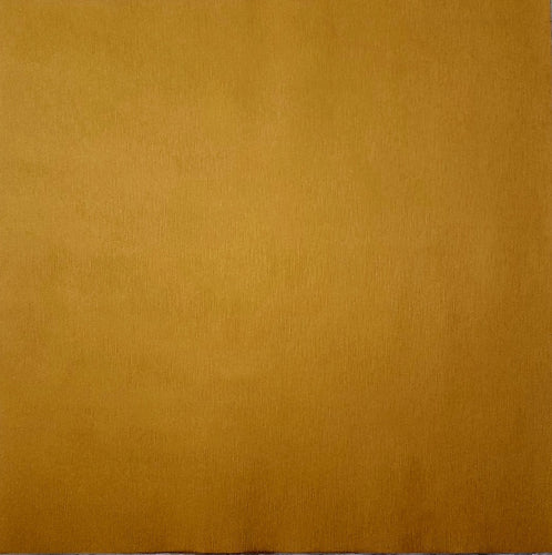 Canson specialty cardstock - 12 x 12 - fiber - goldenrod silk