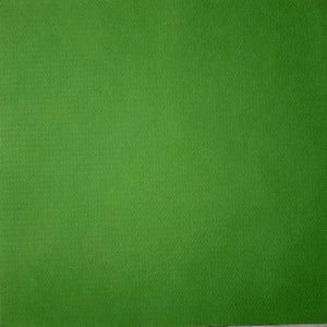 Canson specialty cardstock - 12 x 12 - fiber - spring green geo