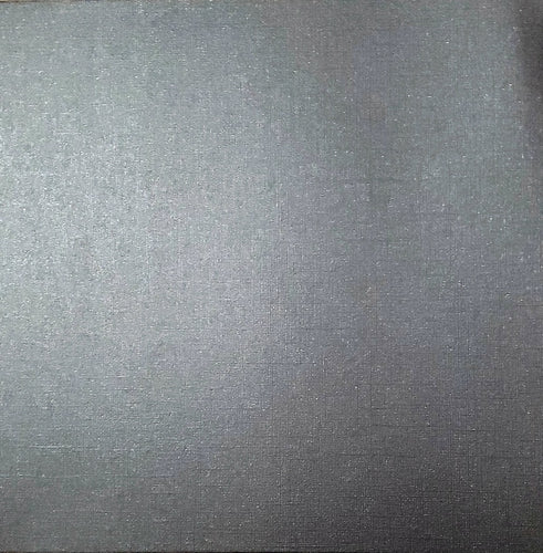 AC American Crafts cardstock - 12 x 12 - shimmer - grey
