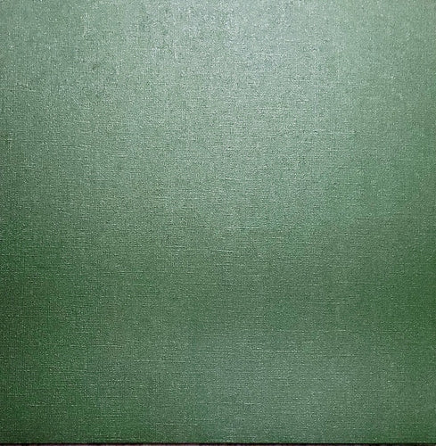AC American Crafts cardstock - 12 x 12 - shimmer - green