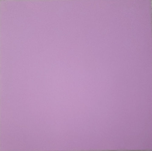 AC American Crafts solid color cardstock - 12 x 12 - purple
