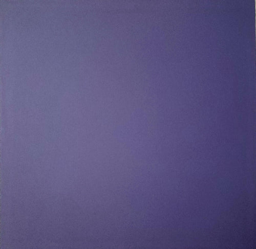 AC American Crafts solid color cardstock - 12 x 12 - purple