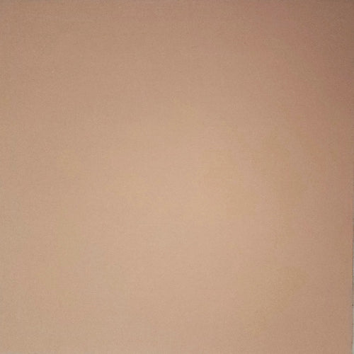 AC American Crafts solid color cardstock - 12 x 12 - tan