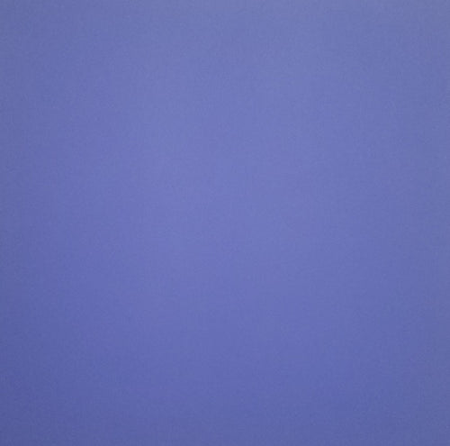 AC American Crafts solid color cardstock - 12 x 12 - purple