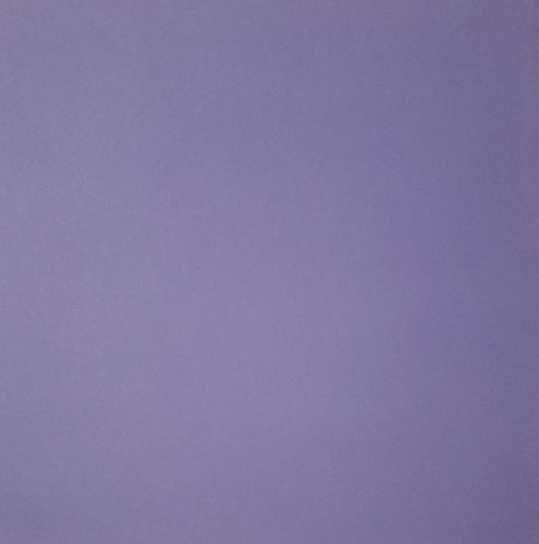 AC American Crafts solid color cardstock - 12 x 12 - purple grape