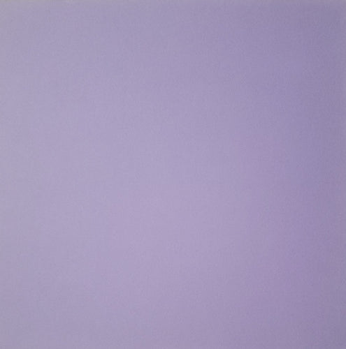 AC American Crafts solid color cardstock - 12 x 12 - purple