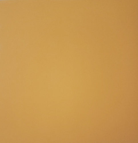 AC American Crafts solid color cardstock - 12 x 12 - orange cream