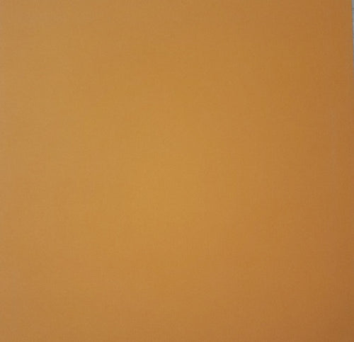 AC American Crafts solid color cardstock - 12 x 12 - butterscotch
