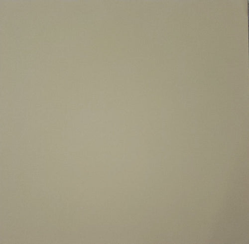 AC American Crafts solid color cardstock - 12 x 12 - brown light