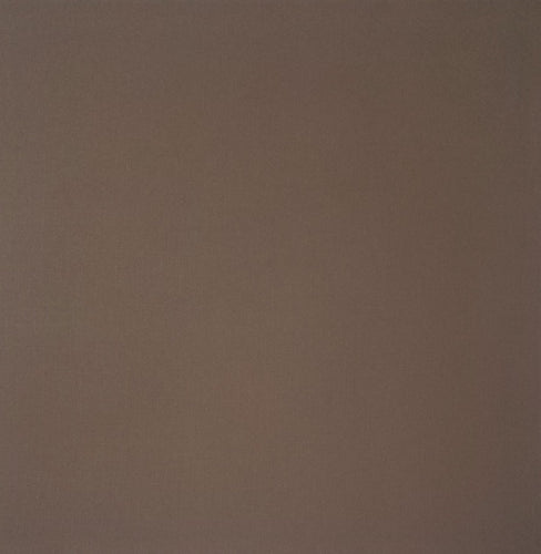 AC American Crafts solid color cardstock - 12 x 12 - brown