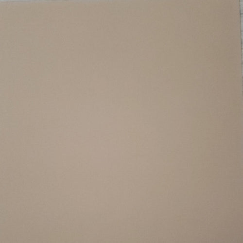 AC American Crafts solid color cardstock - 12 x 12 - tan
