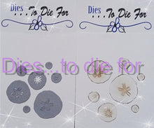 Load image into Gallery viewer, Dies ... to die for LLC metal cutting die - Sand Dollar