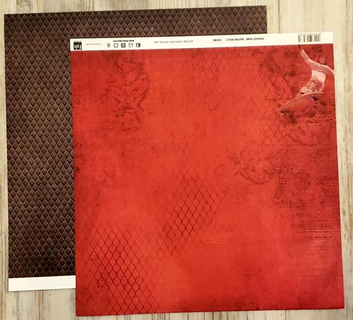 FabScraps Double Sided card stock paper 12 x 12 - Skating Wild 2 - Skateboard