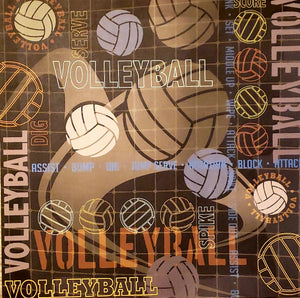 Karen foster  Volleyball net single sided paper 12 x 12