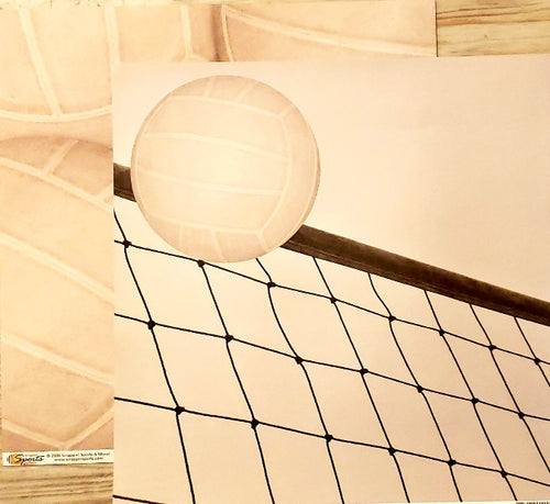 Scrappin' Sports and more - Classic Sports - Volleyball double sided paper 12 x 12