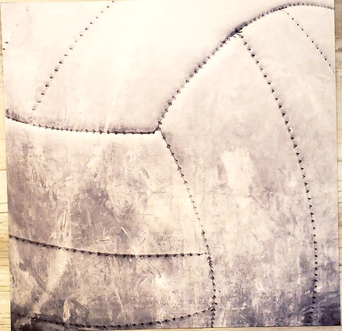 Karen foster Volleyball stitches single sided paper 12 x 12