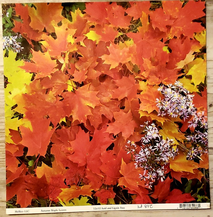 McRice photo pages -Autumn Maple leaves - single sided paper 12 x 12