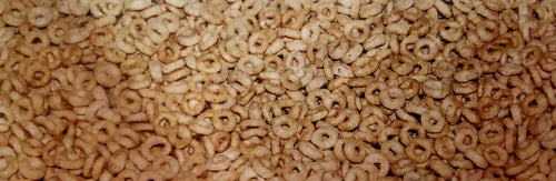 Scrapbook studios - Scrapbook 101 - photo genix - cheerios border - cereal