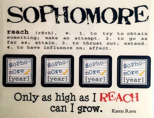 Srm press  - say it with stickers sheet - tenth 10th sophomore - grade high school