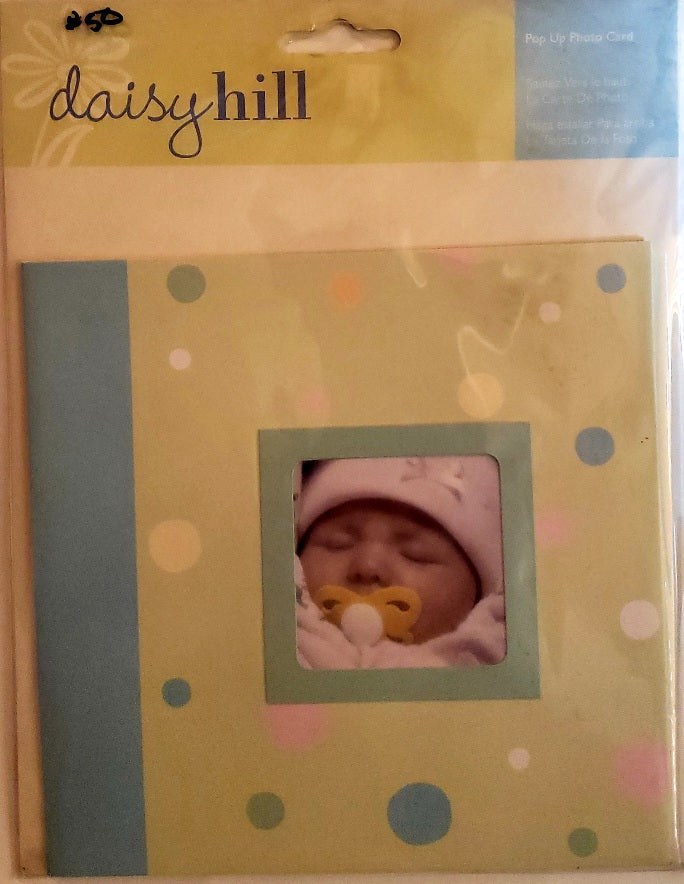 Daisy Hill - pop up photo card