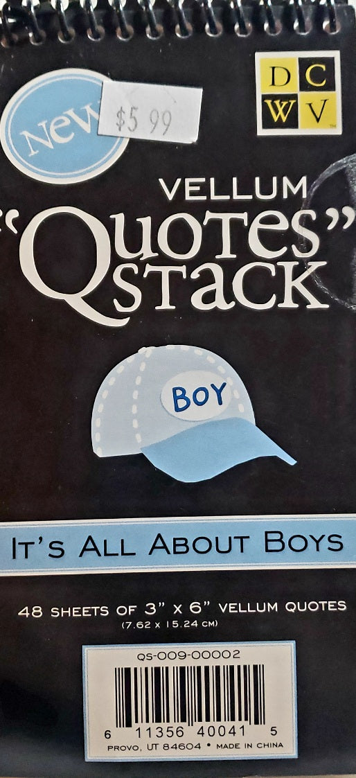 Die cuts with a view DCWV - quote stack book - its all about boys vellum quote sayings stack
