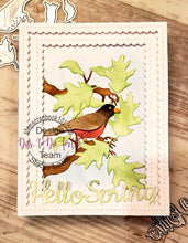 Load image into Gallery viewer, Gina Marie Metal cutting die -  Peekaboo rectangle frame - peek a boo peek-a-boo