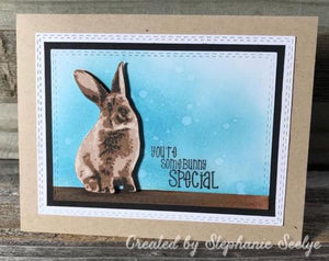 Gina Marie Clear stamp set - Bunny rabbit layered