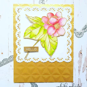 Gina Marie Metal cutting die - frilly lace nested square