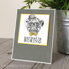 Load image into Gallery viewer, Gina Marie Clear stamp set - Hipster dog