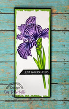 Load image into Gallery viewer, Dies ... to die for metal cutting die - Accent ribbons stitched